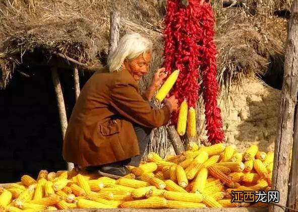 30年前的农村，看得我哭了...