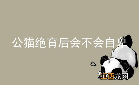 公猫绝育后会不会自卑