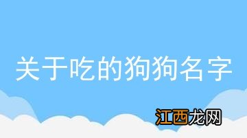 关于吃的狗狗名字