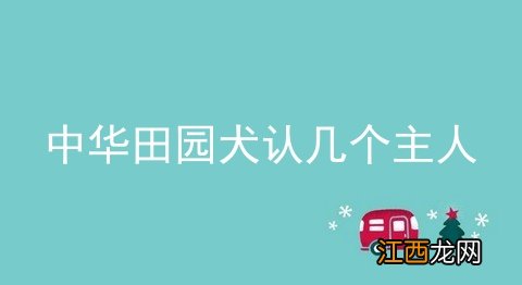 中华田园犬认几个主人