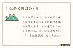 什么是公共政策分析