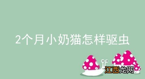 2个月小奶猫怎样驱虫