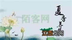 杏林寻宝——中华传统医药漫谈  夏季如何养生