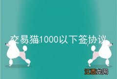 交易猫1000以下签协议