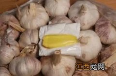 大蒜怎样可以储存一年