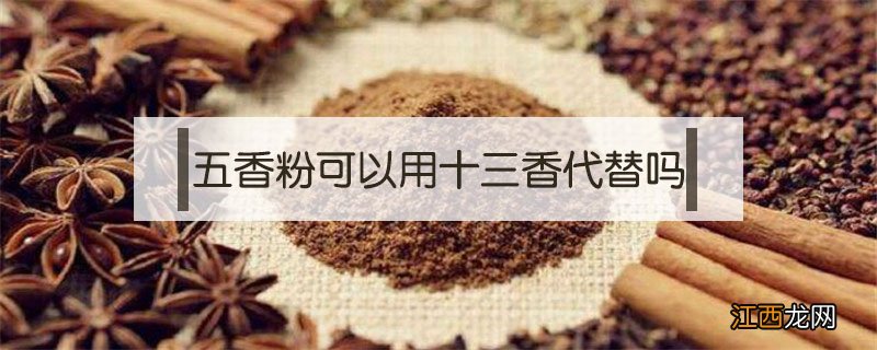 五香粉可以用十三香代替吗？