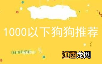 1000以下狗狗推荐