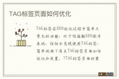 TAG标签页面如何优化