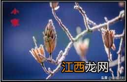 【二十四节气】小寒节气的养生原则是保护阳气