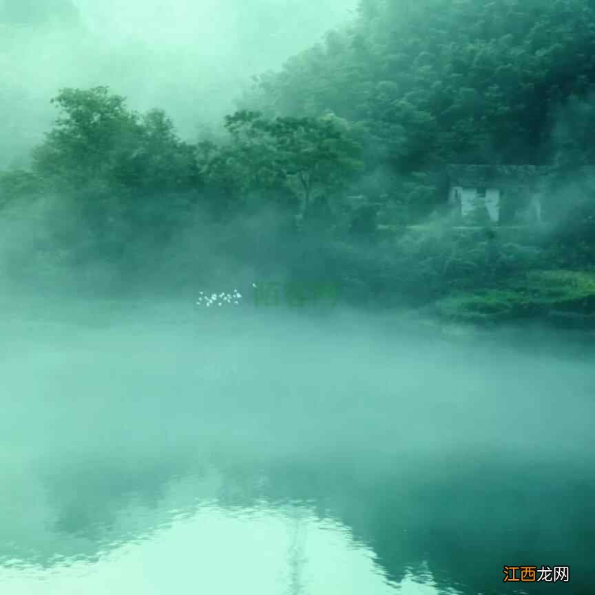 人间时节 I 明日谷雨，喝茶养生正当时