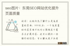 seo图片：东莞SEO网站优化提升页面质量