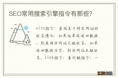 SEO常用搜索引擎指令有那些？