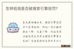 怎样检测是否被搜索引擎惩罚？