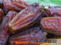 椰枣怎么吃壮阳 椰枣每天吃多少壮阳