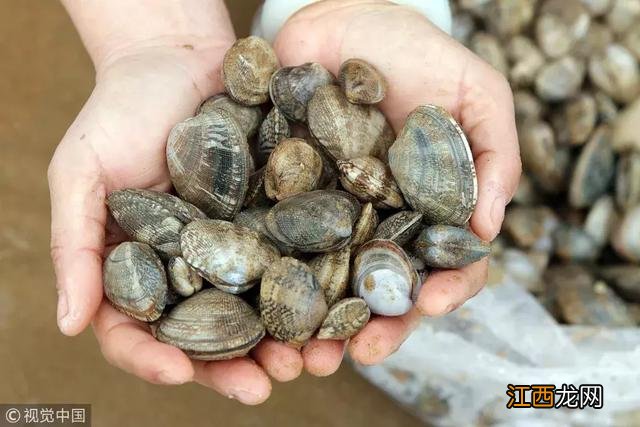 海鲜什么时候是最肥的？海鲜几月份是最肥的，此文讲得一清二楚