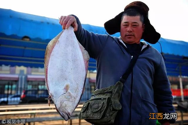 海鲜什么时候是最肥的？海鲜几月份是最肥的，此文讲得一清二楚