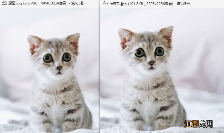 怎么可以让照片变小不影响清晰 怎样缩小照片的大小并且保证清晰度不变