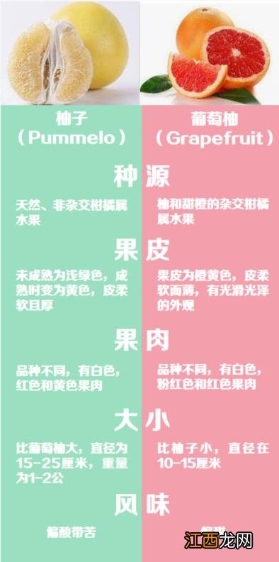 柚子是属于什么水果？什么是柚子类水果，给作者点个赞吧