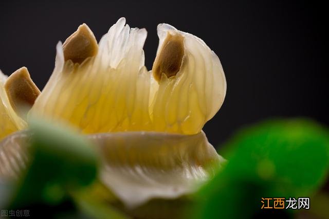 柚子什么季节好吃啊？柚子什么季节能吃，建议需要听一听