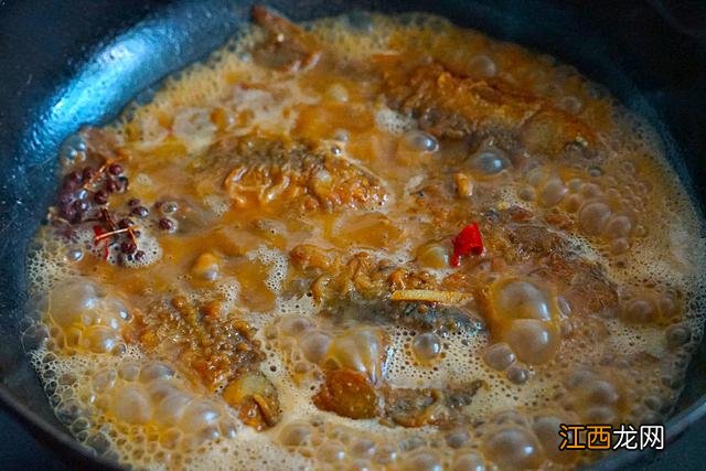 金针鱼长什么样子图片？金针鱼图片，点击[了解更多]