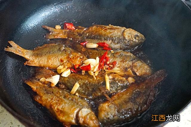 金针鱼长什么样子图片？金针鱼图片，点击[了解更多]