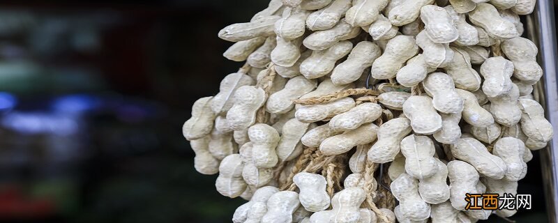 水花生用什么除草剂可根除