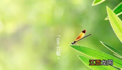 《步步惊心》经典台词,有哪些?