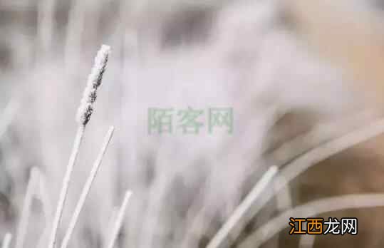 大雪到，请开启保暖养生模式！