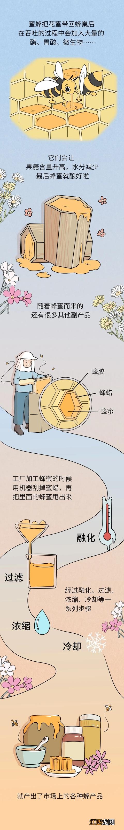 蜂蜜有什么营养功效？蜂蜜 营养价值，掌握这些知识点|科普