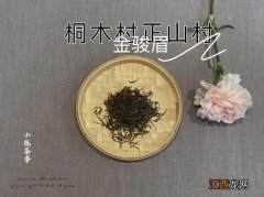 泡茶用什么杯子最好喝？泡茶用什么器皿最好，此文讲得一清二楚