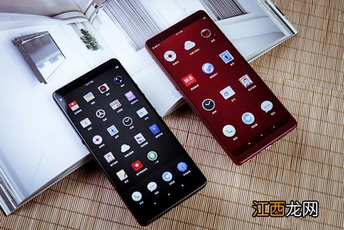 vivo Y79和锤子坚果pro2哪个好？vivoY79和坚果pro2对比