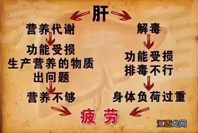 气血不足补什么营养？气血不足一般要补多久，请务必将此文章看完