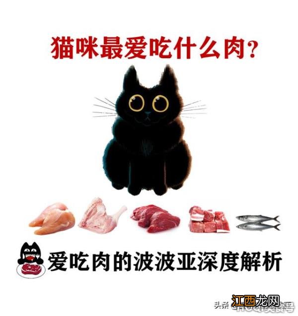 猫更喜欢吃什么肉？ 猫吃什么