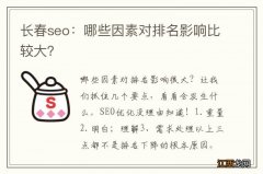 长春seo：哪些因素对排名影响比较大？