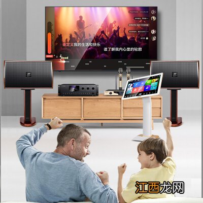 SANSUI 山水sp9家庭10寸KTV音响套装全套家用会议卡包音响电视卡拉OK音箱套装8寸6寸 8吋版本+话筒+2TB点歌机