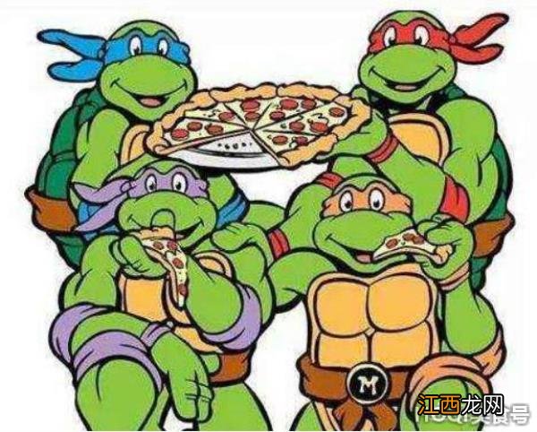 芝士和披萨是一样的吗? 芝士披萨好吃还是水果披萨好吃