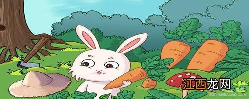 1975属兔人2020年运势 属兔处女座2019年运势,2020年属兔人的全年运势