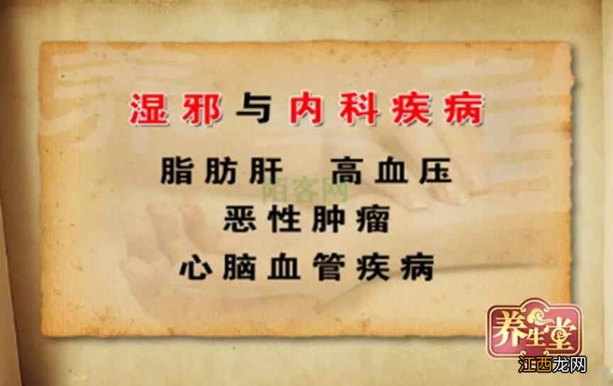 养生有道，食疗有方！送您三个食疗方：祛湿、补气、护血管，健康过夏天