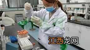 五谷杂粮粉安全吗？适合每个人吃吗？实验告诉你~