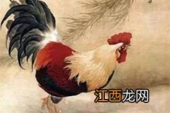 属鸡的今年该不该离婚 属鸡一生有二婚，93年属鸡的姻缘在哪年