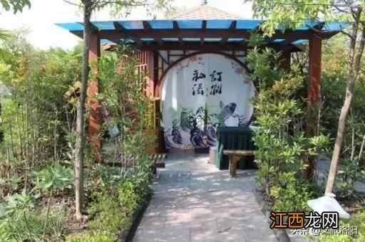 2020年洛阳春节推荐——温泉、滑雪养生运动之旅