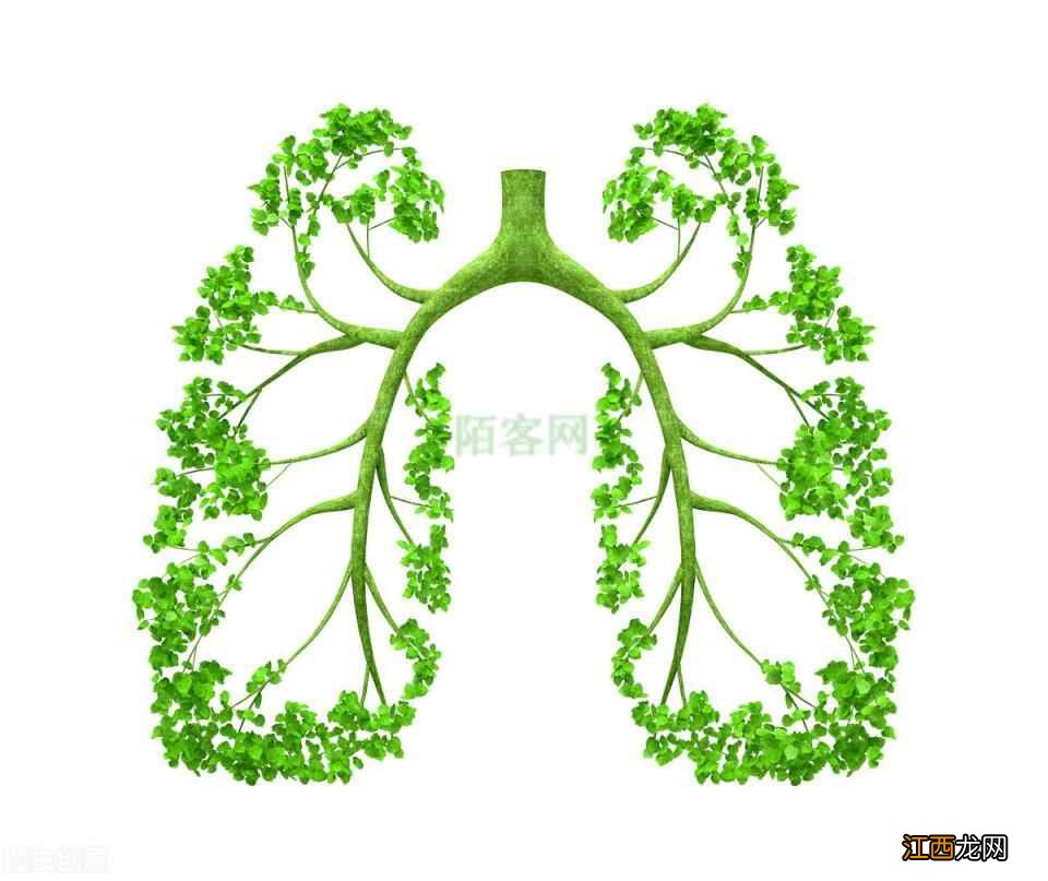 肺气为秋季主气，秋季养生记住这7个小知识，冬来肺部不生病