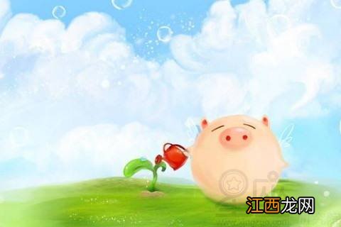 1995属猪女的命运与婚姻 属猪人命里带二婚,95年属猪的姻缘在哪年