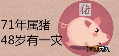 1995属猪女的命运与婚姻 属猪人命里带二婚,95年属猪的姻缘在哪年