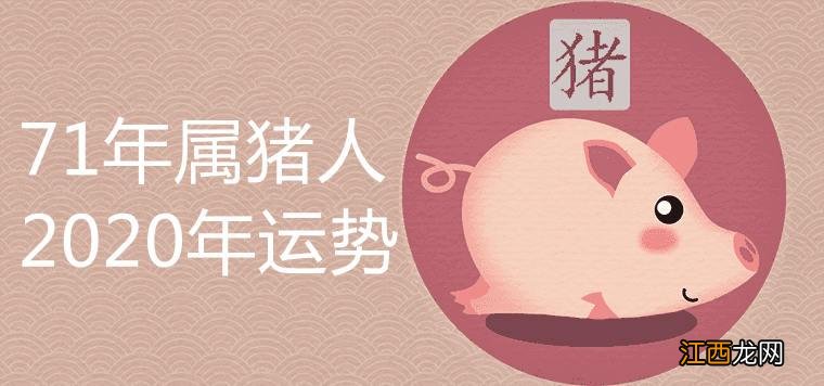 71年的猪51岁后的命运 71年属猪51到52岁好运气,属猪人最苦命出生时辰