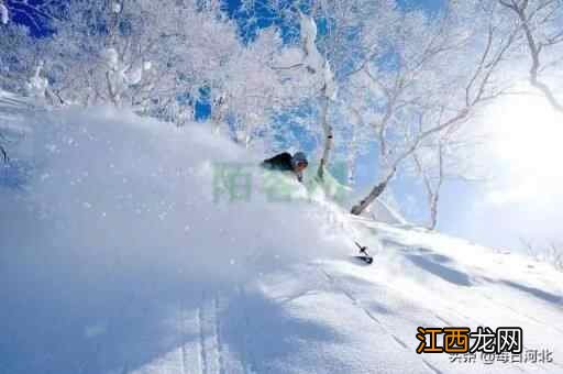 河北新晋滑雪圣地C位出道！小岛的冬天，即将在这里沸腾