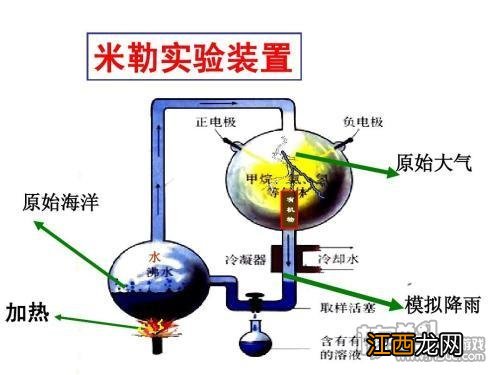 物种起源：抬手间转逝千年 生命从何而来