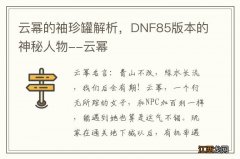 云幂的袖珍罐解析，DNF85版本的神秘人物--云幂