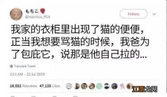 仿佛他们才是一家三口...“父母不让我养宠物”的大型真香现场