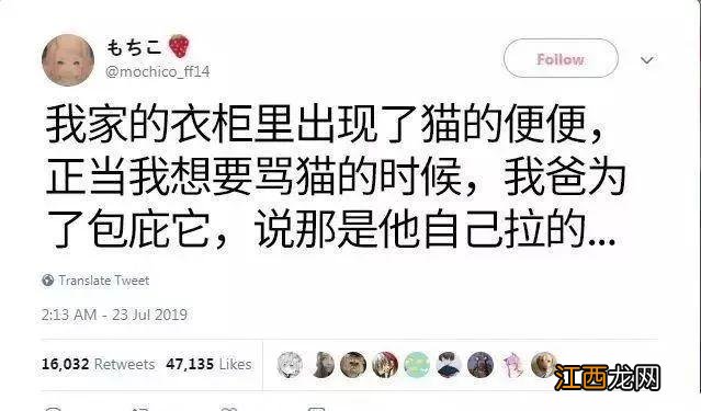 仿佛他们才是一家三口...“父母不让我养宠物”的大型真香现场